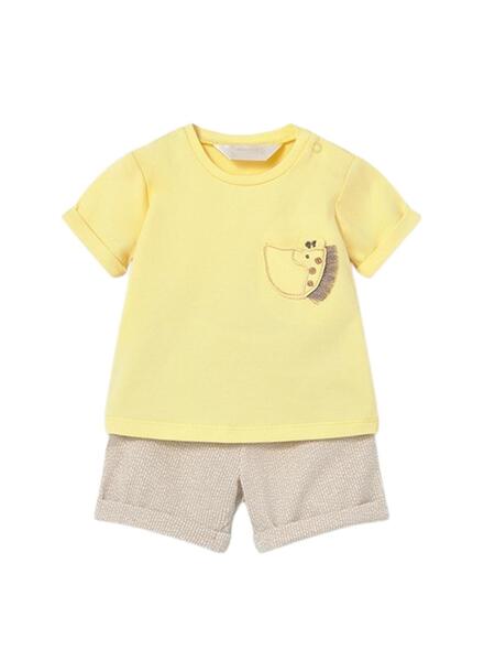 Gallery k179093 wcshfh86