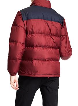 Veste Levis Coit Down Grenat Homme
