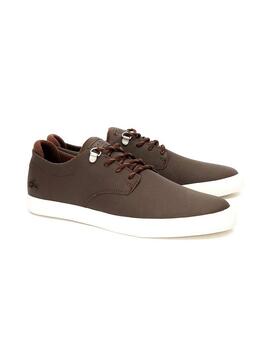 Chaussures Lacoste Esparre Brown Homme