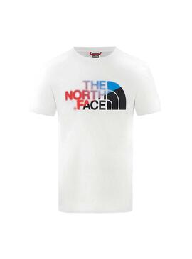 T-Shirt The North Face Logo Blanc Homme