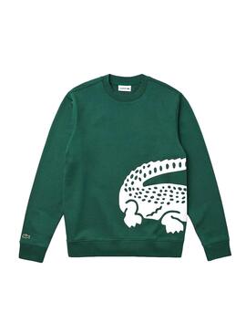 Sweat Lacoste Maxi Logo Vert pour Homme