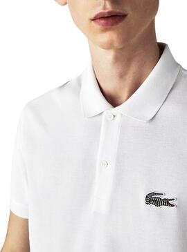 Polo Lacoste x National Geographic Zebre Homme