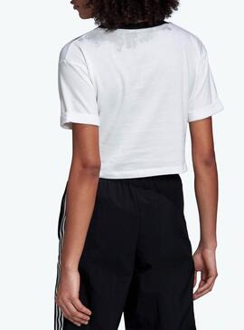 T-Shirt Adidas Crop Blanc pour Femme
