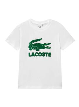T-Shirt Lacoste Basic Croco Blanc pour Garçon